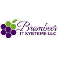 Brombeer IT Solutions LLC logo, Brombeer IT Solutions LLC contact details