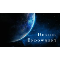 Donors Endowment logo, Donors Endowment contact details