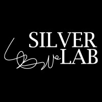 Silver Lab / Productora Fotográfica y Audiovisual logo, Silver Lab / Productora Fotográfica y Audiovisual contact details