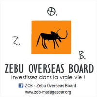 Zébu Overseas Board logo, Zébu Overseas Board contact details