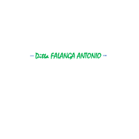 Ditta Falanga Antonio logo, Ditta Falanga Antonio contact details