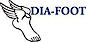 Dia-Foot logo, Dia-Foot contact details