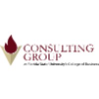 FSU Consulting Group logo, FSU Consulting Group contact details