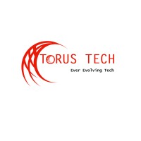 Torus Tech Pvt logo, Torus Tech Pvt contact details