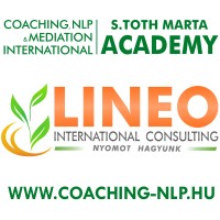 Lineo International Consulting LTD. logo, Lineo International Consulting LTD. contact details