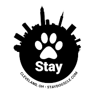 Stay Dog Daycare and Boarding logo, Stay Dog Daycare and Boarding contact details