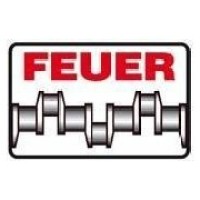 FEUER powertrain GmbH & Co. KG logo, FEUER powertrain GmbH & Co. KG contact details