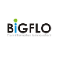 BiGFLO S.R.L. logo, BiGFLO S.R.L. contact details