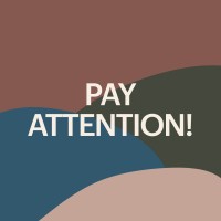 PayAttention News logo, PayAttention News contact details