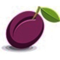 Plum Personnel logo, Plum Personnel contact details