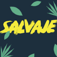 Salvaje logo, Salvaje contact details