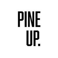 PINEUP logo, PINEUP contact details