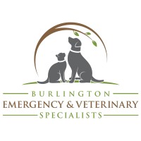 Burlington Emergency and Veterinary Specialists logo, Burlington Emergency and Veterinary Specialists contact details