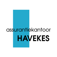 Havekes Advies & Verzekeringen logo, Havekes Advies & Verzekeringen contact details