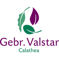 Gebr. Valstar B.V. logo, Gebr. Valstar B.V. contact details