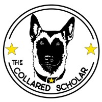 The Collared Scholar logo, The Collared Scholar contact details