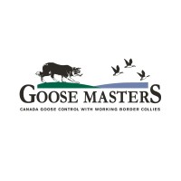 Goose Masters logo, Goose Masters contact details