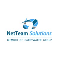 NetTeam Solutions S.A. logo, NetTeam Solutions S.A. contact details