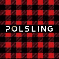 Polsling sp. z o.o logo, Polsling sp. z o.o contact details