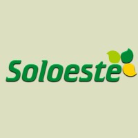 Soloeste logo, Soloeste contact details