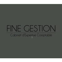 FINE GESTION logo, FINE GESTION contact details