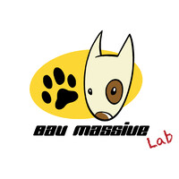 BaumassiveLab logo, BaumassiveLab contact details