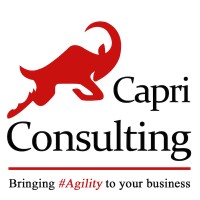 Capri Consulting Ltd. logo, Capri Consulting Ltd. contact details