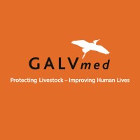 GALVmed logo, GALVmed contact details