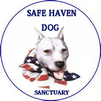 Safe Haven Dog Emporium logo, Safe Haven Dog Emporium contact details