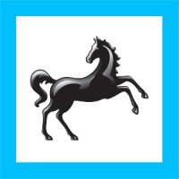 Black Horse Finance logo, Black Horse Finance contact details