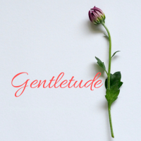 Gentletude logo, Gentletude contact details