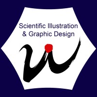 W. Design Studio_Scientific Illustration logo, W. Design Studio_Scientific Illustration contact details