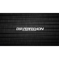 DSR PERFECTION logo, DSR PERFECTION contact details