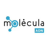 Molecula ADN logo, Molecula ADN contact details