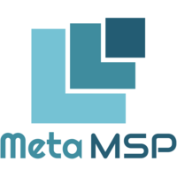 MetaMSP LLC logo, MetaMSP LLC contact details