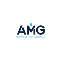 AMG Servicios Profesionales logo, AMG Servicios Profesionales contact details