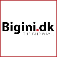 BIGINI logo, BIGINI contact details