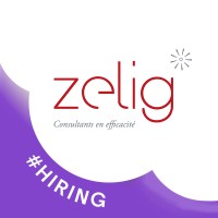 Zelig Consultants logo, Zelig Consultants contact details