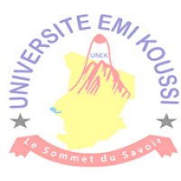 Université EMI KOUSSI logo, Université EMI KOUSSI contact details