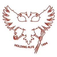 Alfe Consulting SRL logo, Alfe Consulting SRL contact details