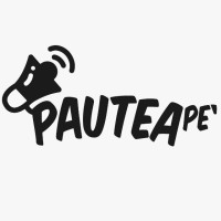 Pauteape - Agencia de Marketing Digital logo, Pauteape - Agencia de Marketing Digital contact details