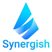 Synergish Digital Traffic Analyst logo, Synergish Digital Traffic Analyst contact details