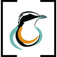 Plover Digital logo, Plover Digital contact details