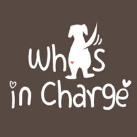 Who's in Charge logo, Who's in Charge contact details