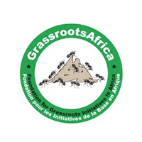 Foundation for Grassroots Initiatives in Africa (GrassRootsAfrica) logo, Foundation for Grassroots Initiatives in Africa (GrassRootsAfrica) contact details