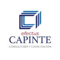 EFECTUS Training and Consulting (Mexico) logo, EFECTUS Training and Consulting (Mexico) contact details