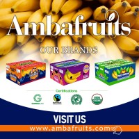 AMBAFRUITS S.A. logo, AMBAFRUITS S.A. contact details