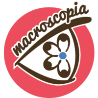 Macroscopia Labs logo, Macroscopia Labs contact details