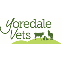 Yoredale Vets Ltd logo, Yoredale Vets Ltd contact details