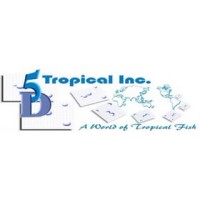 5 D TROPICAL INC logo, 5 D TROPICAL INC contact details